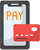 Online Payment